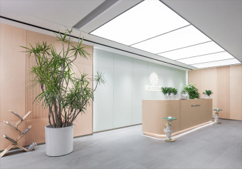 辦公室裝修設計施工：打造高效與舒適并存的現