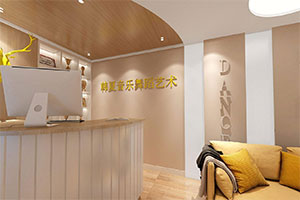 音樂舞蹈藝術學校培訓機構裝修全景圖